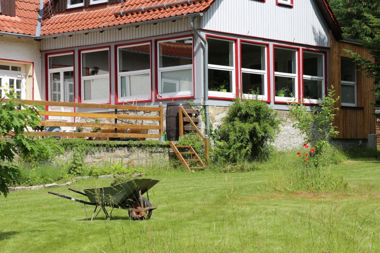 Villa Viriditas Elbingerode (Saxony-Anhalt) Exterior foto