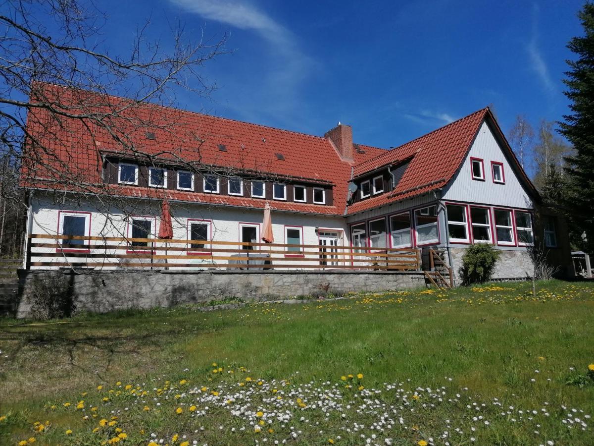 Villa Viriditas Elbingerode (Saxony-Anhalt) Exterior foto